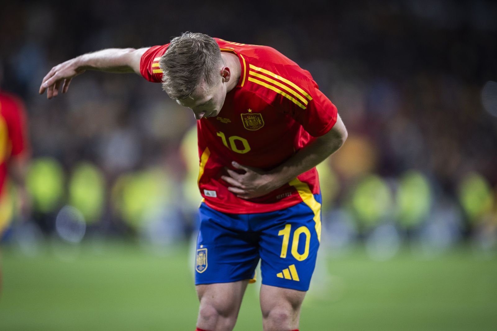 Las fotos del España - Brasil