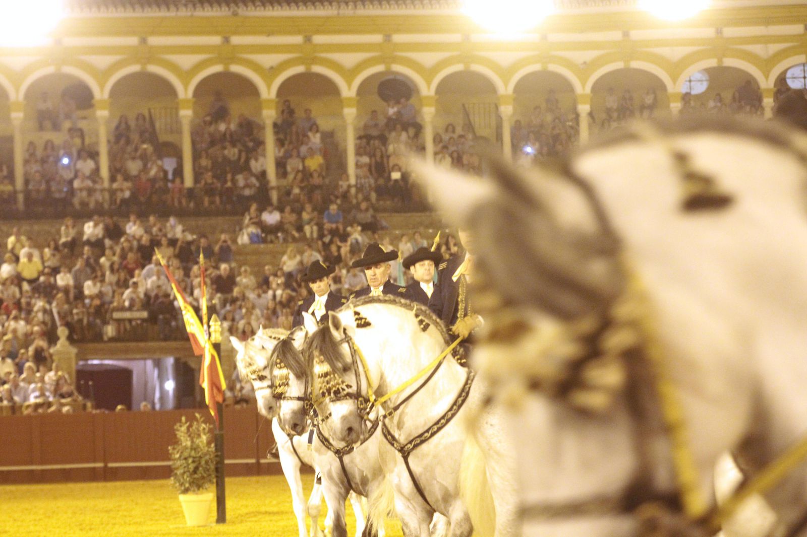 El espectáculo 'Cómo bailan los caballos andaluces', en imágenes