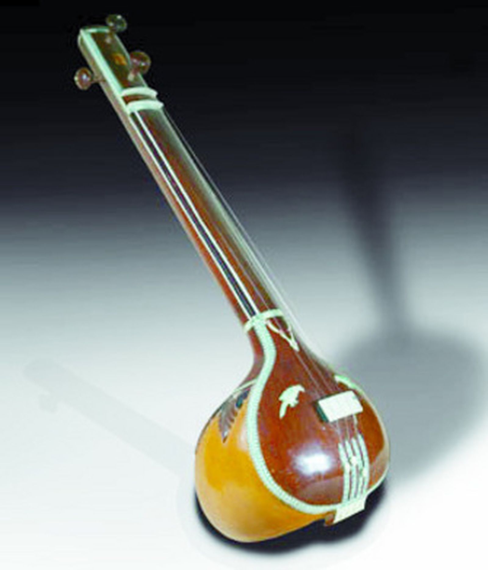 El popular sitar.