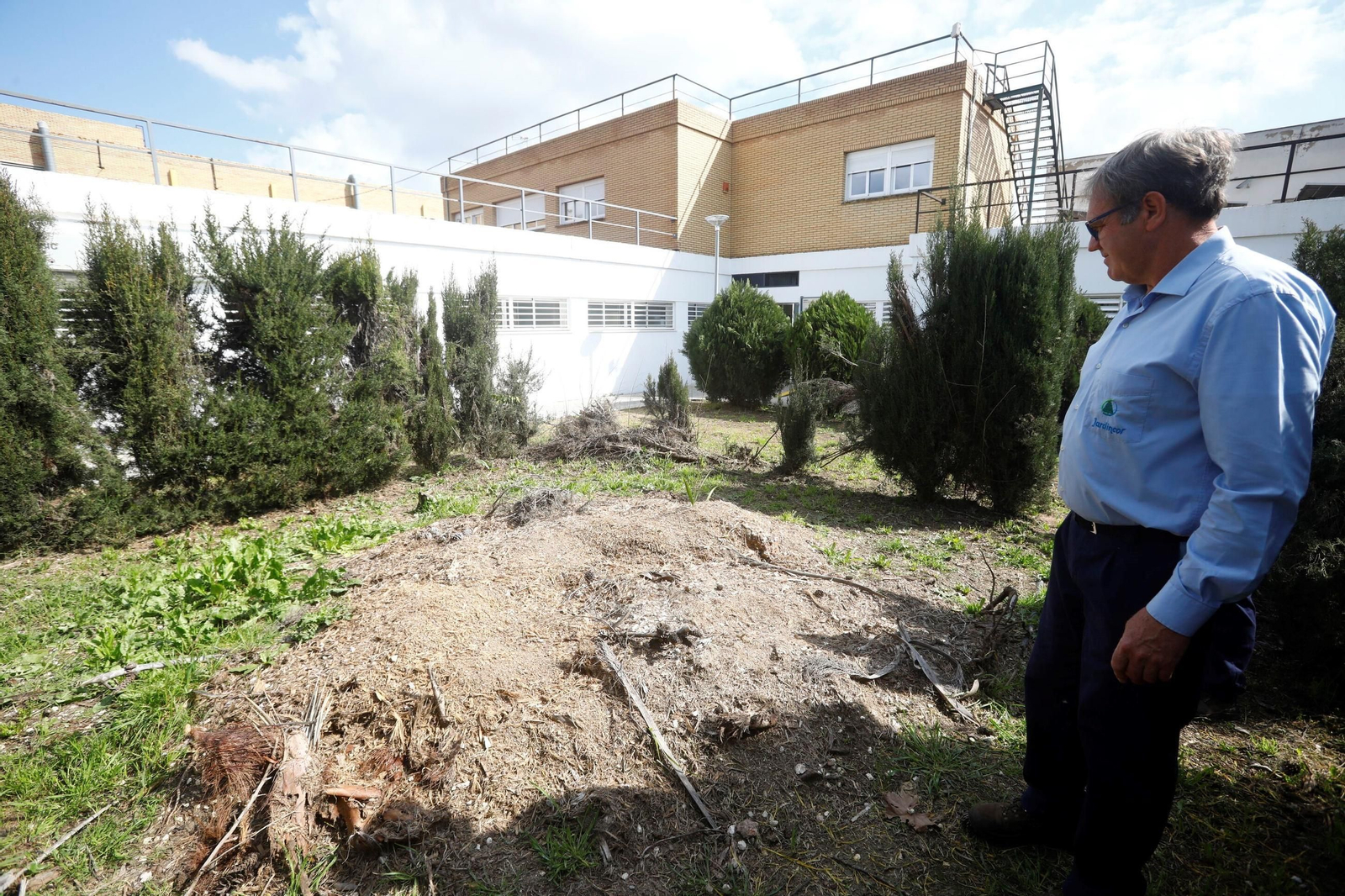 Las zonas verdes repobladas del Hospital Reina Sofía de Córdoba, en imágenes