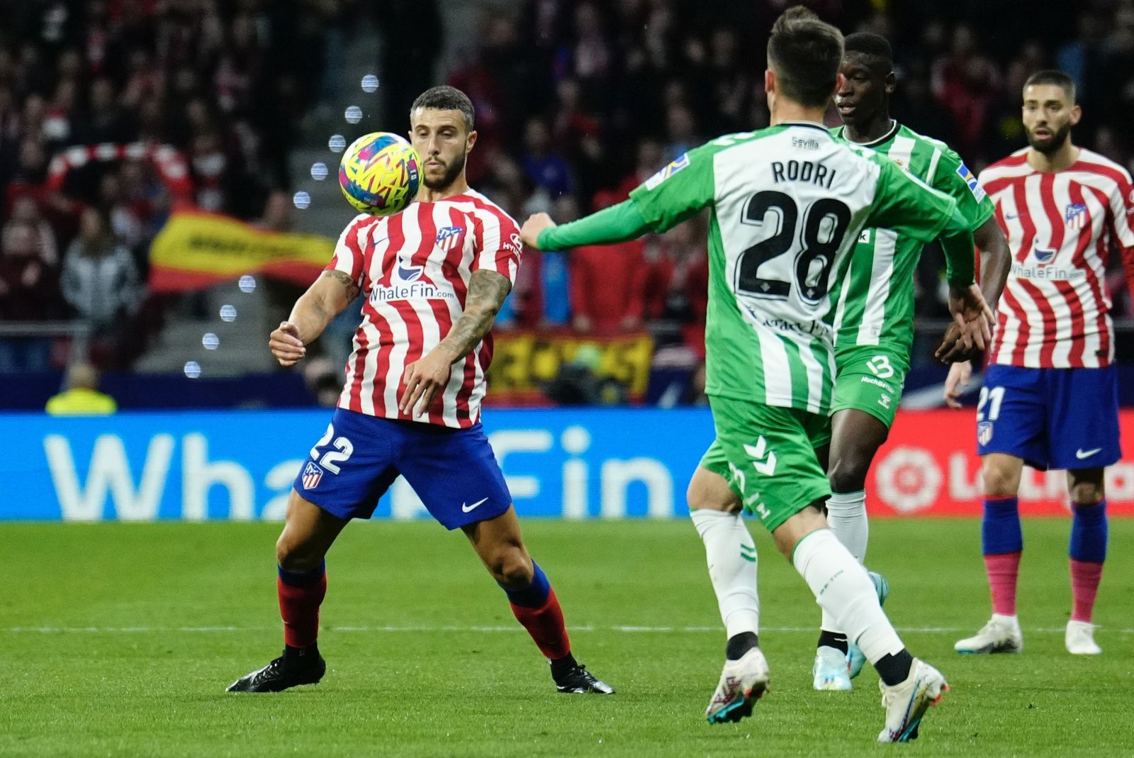 Las fotos del Atlético Madrid - Betis