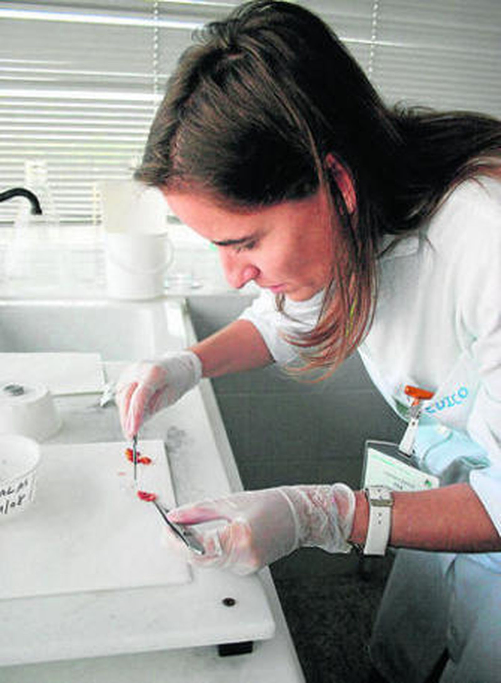 Recogida de muestras en un laboratorio de anatomía patológica.