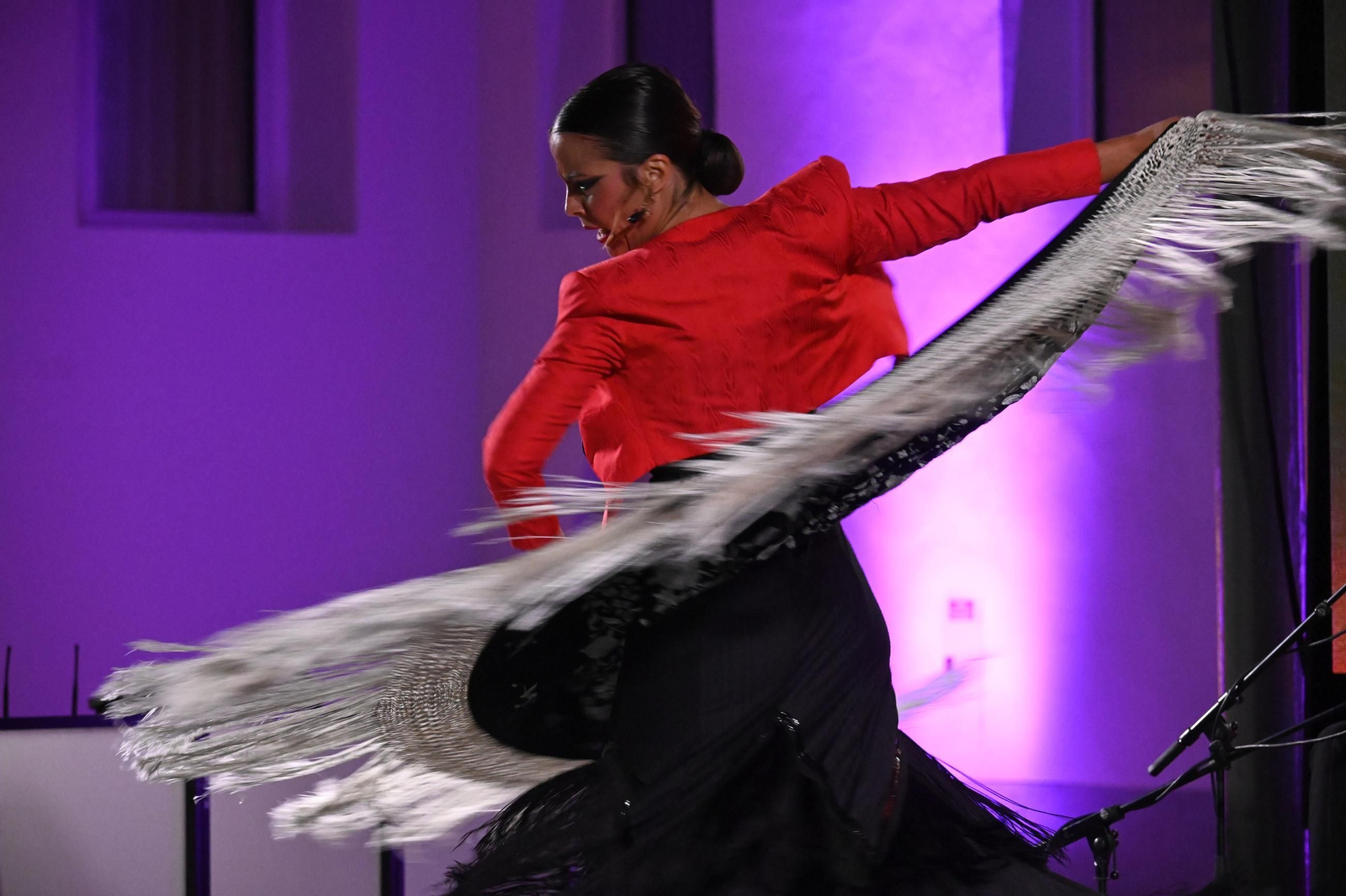 Imágenes del espectáculo de la bailaora María Canea en Huelva