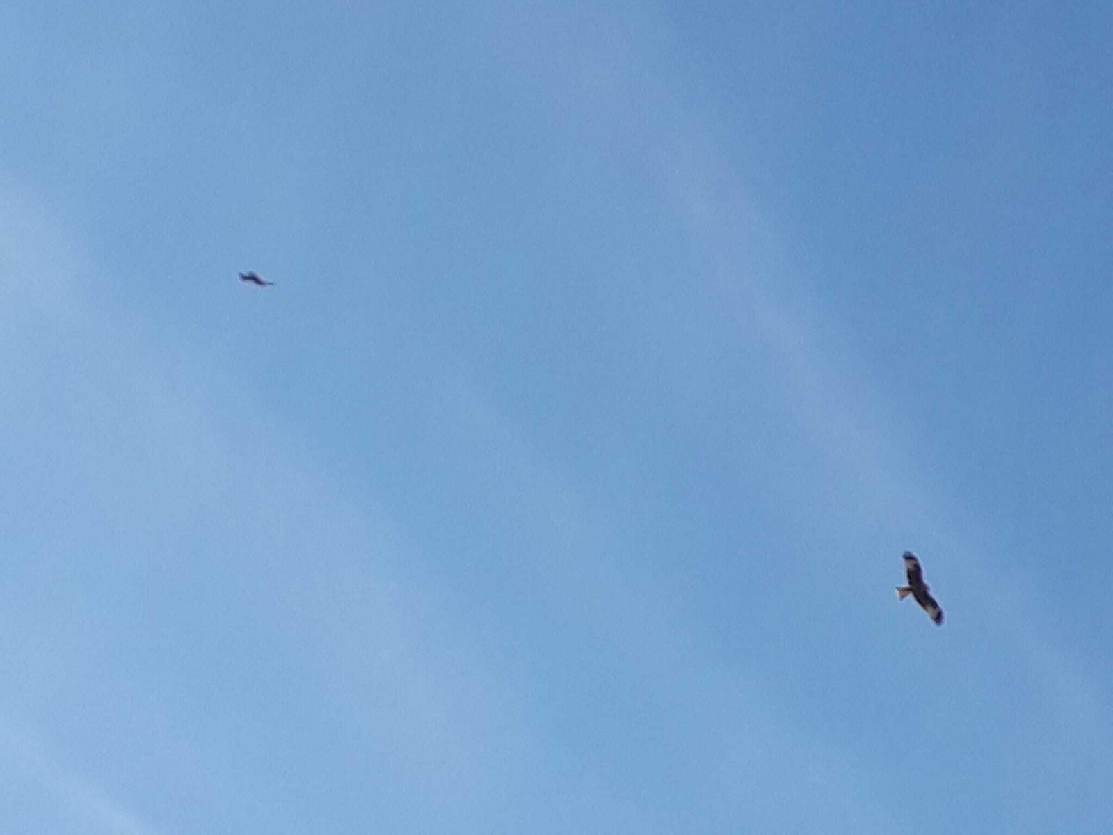 La laguna de Jarata de Montilla, en fotografías