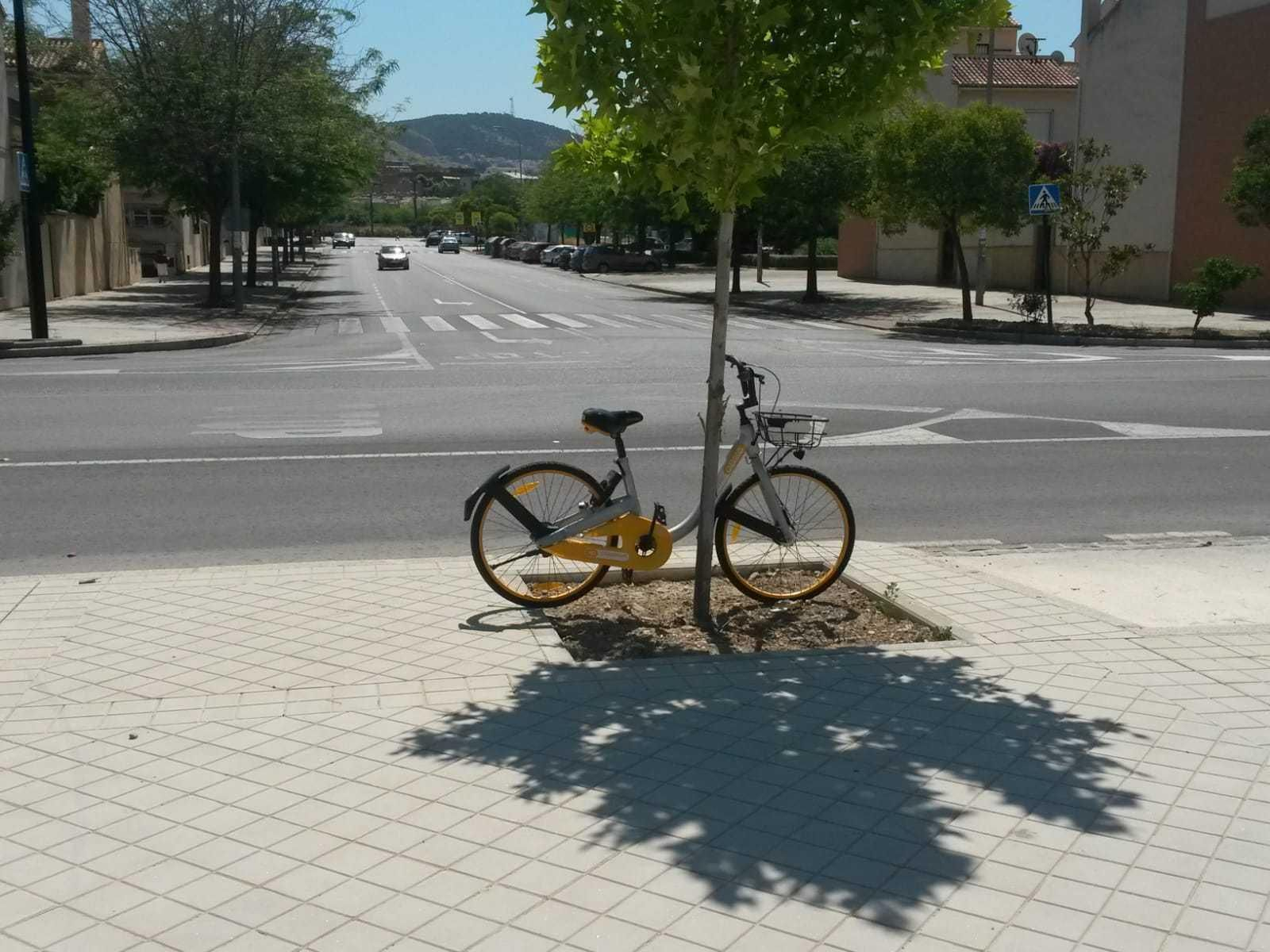 1. En el aparcabicis de Recogidas ya no hay ninguna bici de alquiler aparcada. 	2. En Albayda todavía queda una Obike apoyada en un árbol. 3 y 4. Esta semana en Alhambra había una bici de alquiler sin sillín y sin el aparato para desbloquearla antes de su uso. En la calle Frailes había una Obike rota y con un litro de cerveza 	en la cesta.