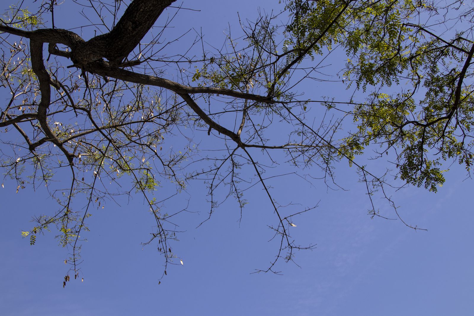 Imágenes del Martes 6 de junio en Huelva