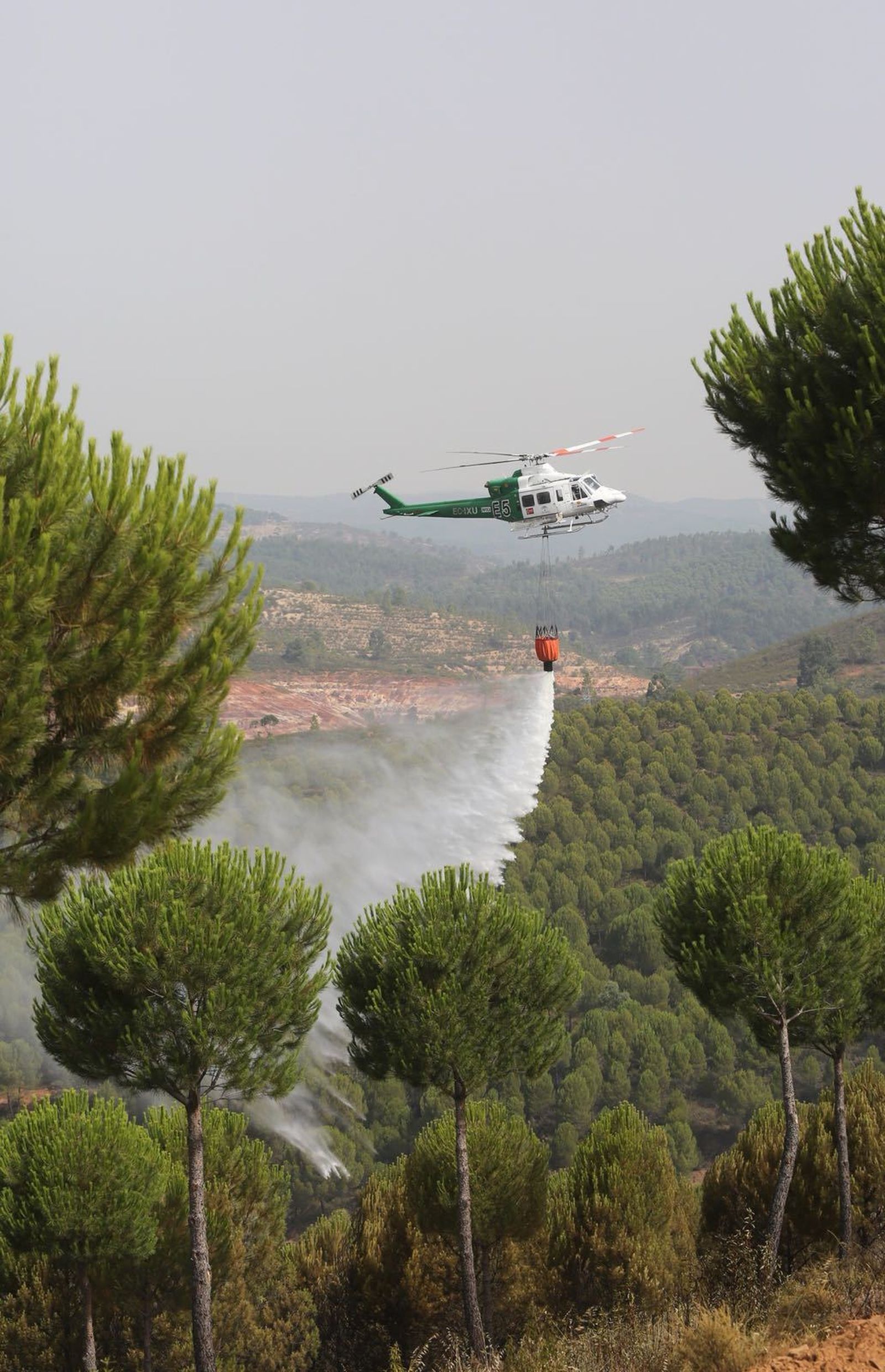 Los trabajos del Infoca en el incendio de Almonaster