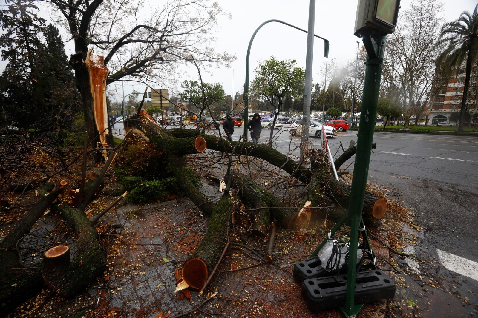 Los daños del último temporal que ha pasado por Córdoba, en imágenes