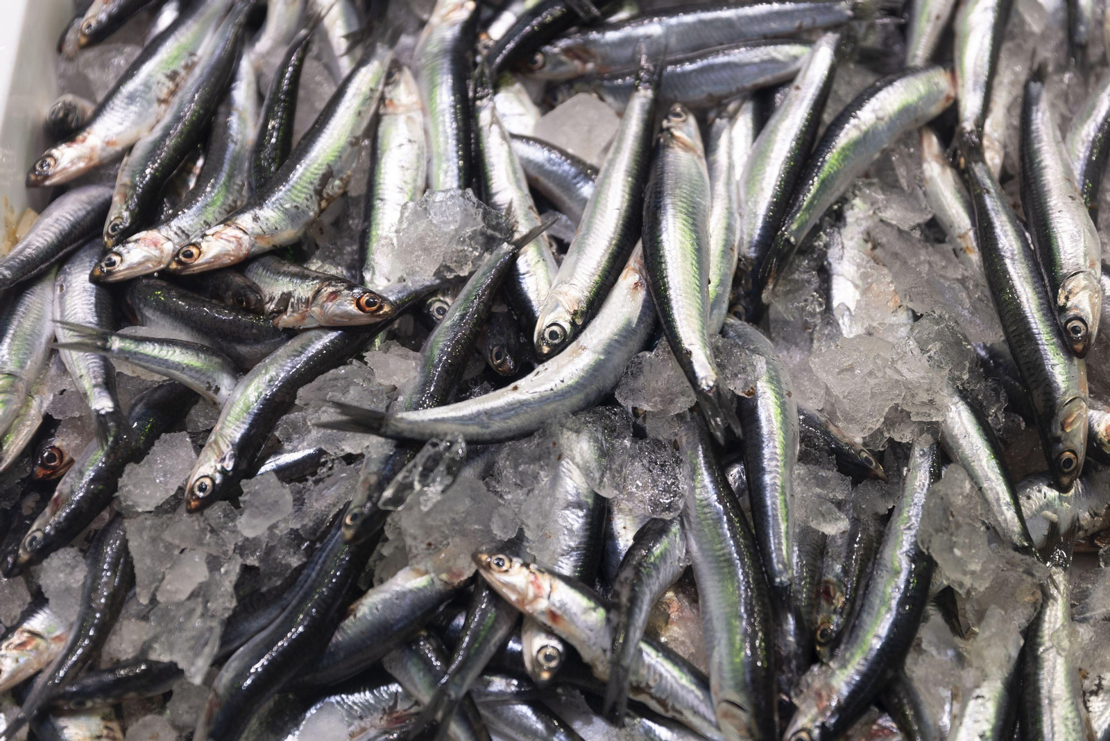 La seguridad alimentaria supone un reto constante para la salud pública