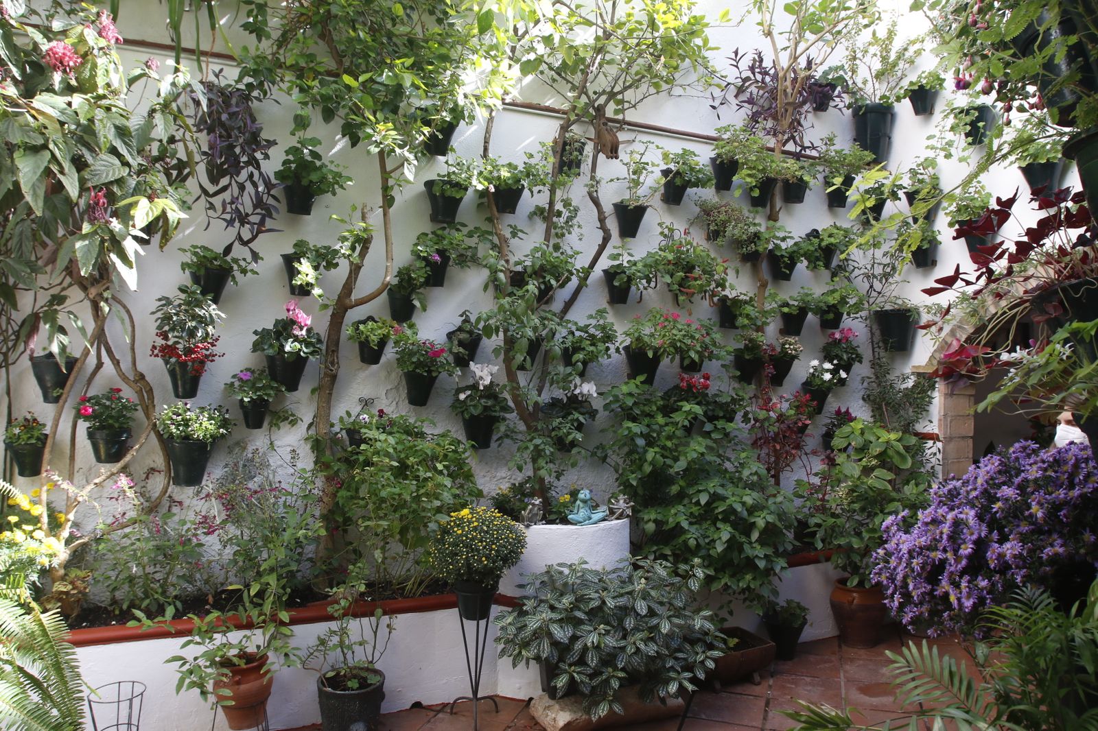 Las fotografías de los Patios de Córdoba en otoño