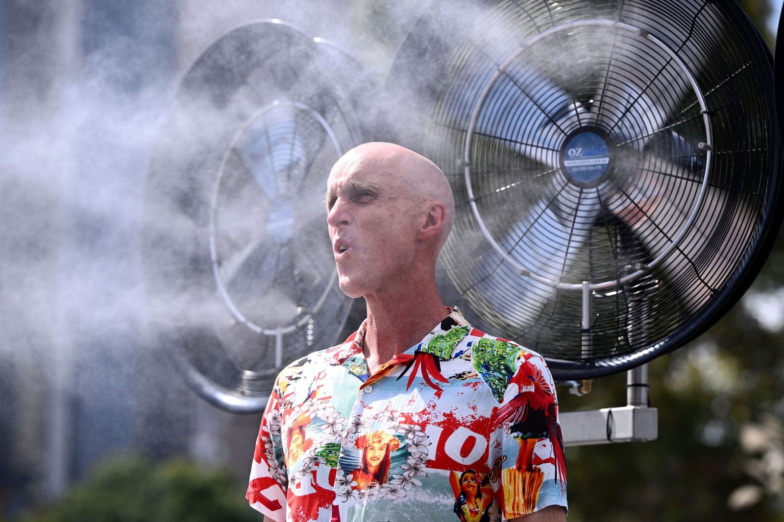 Las fotos de Alcaraz y del resto de cuartos de final de Australia