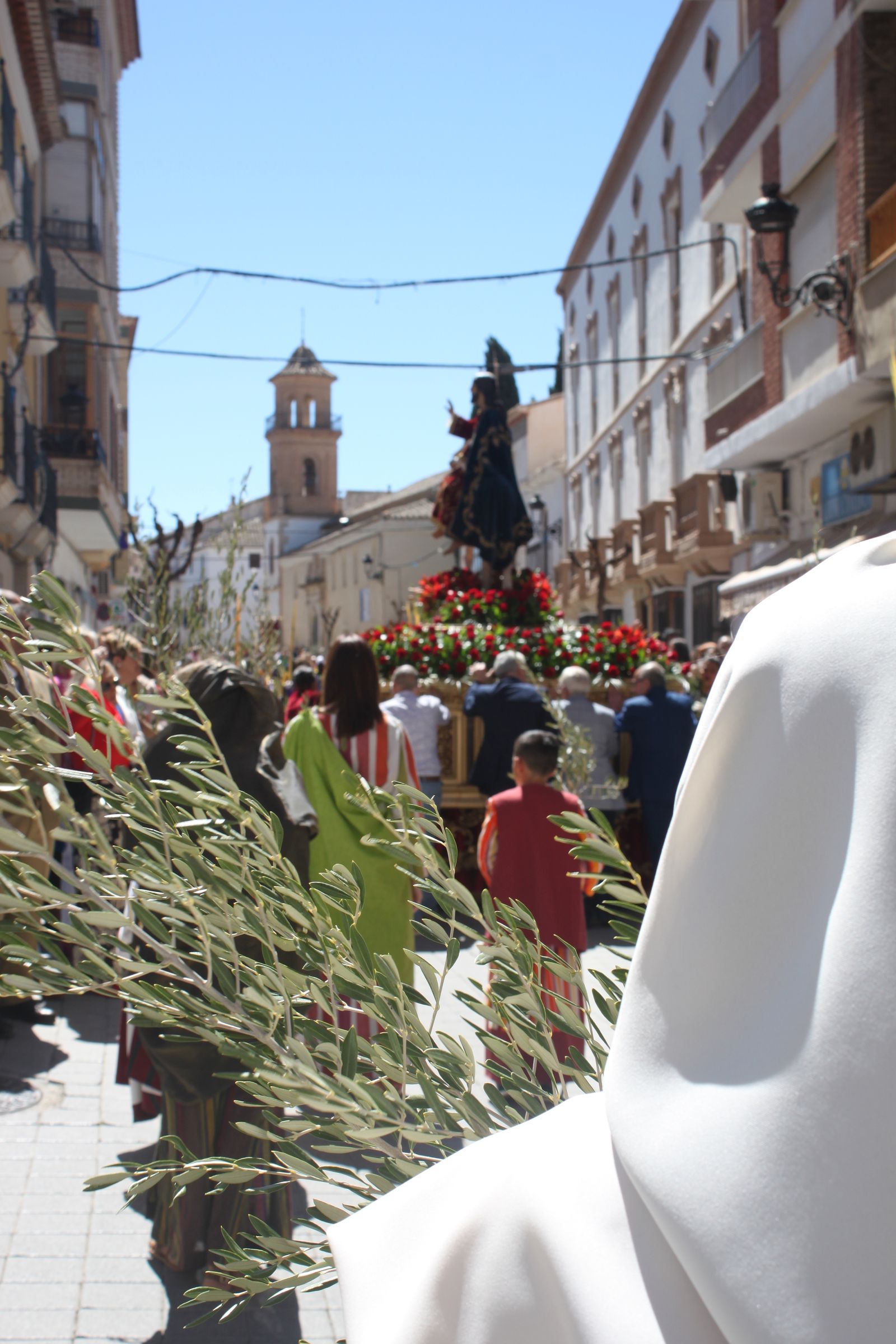 La borriquita de Vélez-Rubio, en imágenes