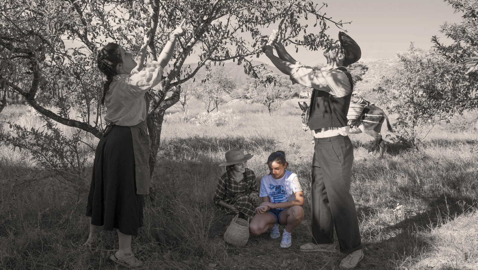 Fotograma de ‘Campos secretos’ donde se narran los estilos de vida tradicionales de los años 50 y 60.