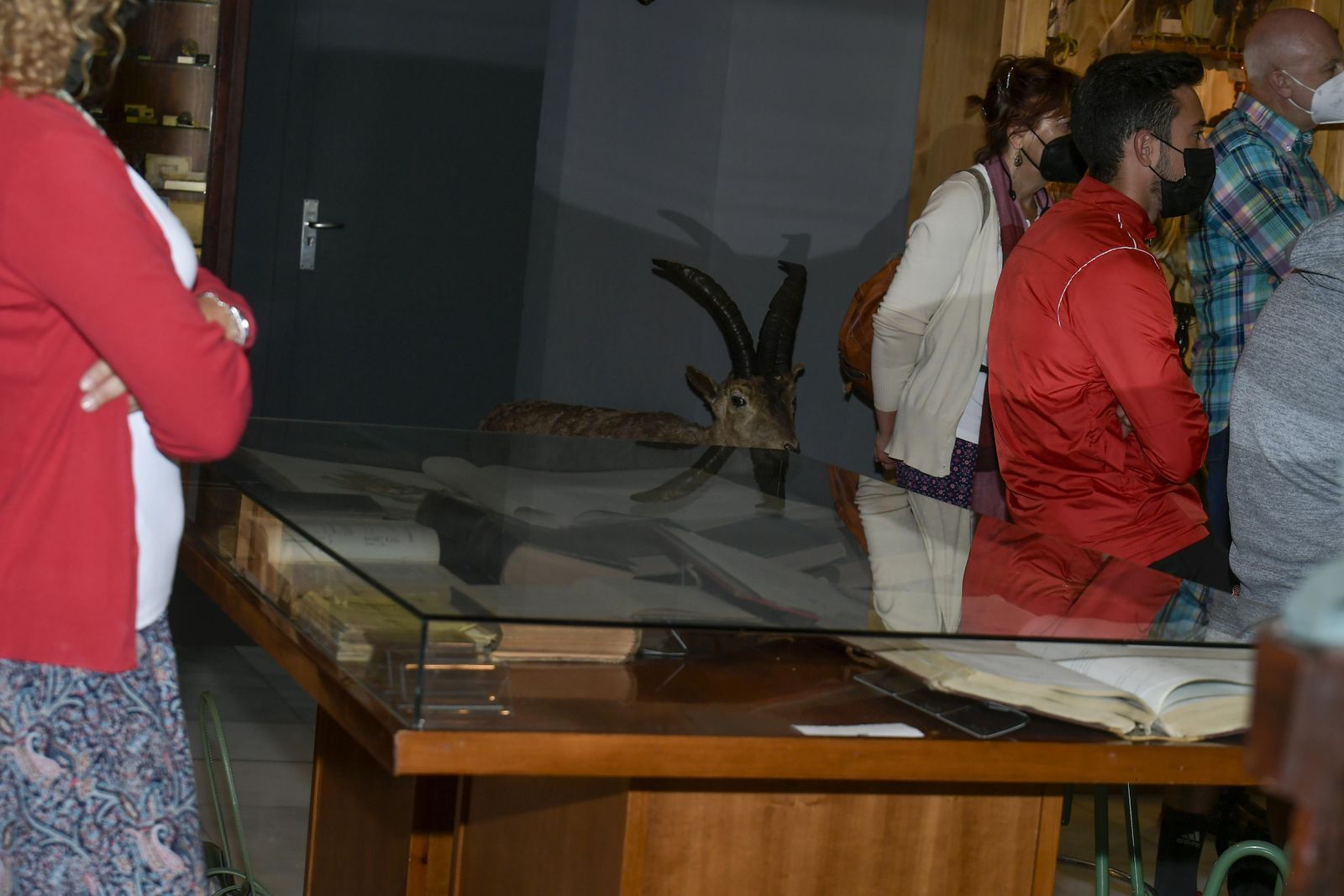 La inauguración del Museo de Ciencia del IES Padre Suárez de Granada, en imágenes