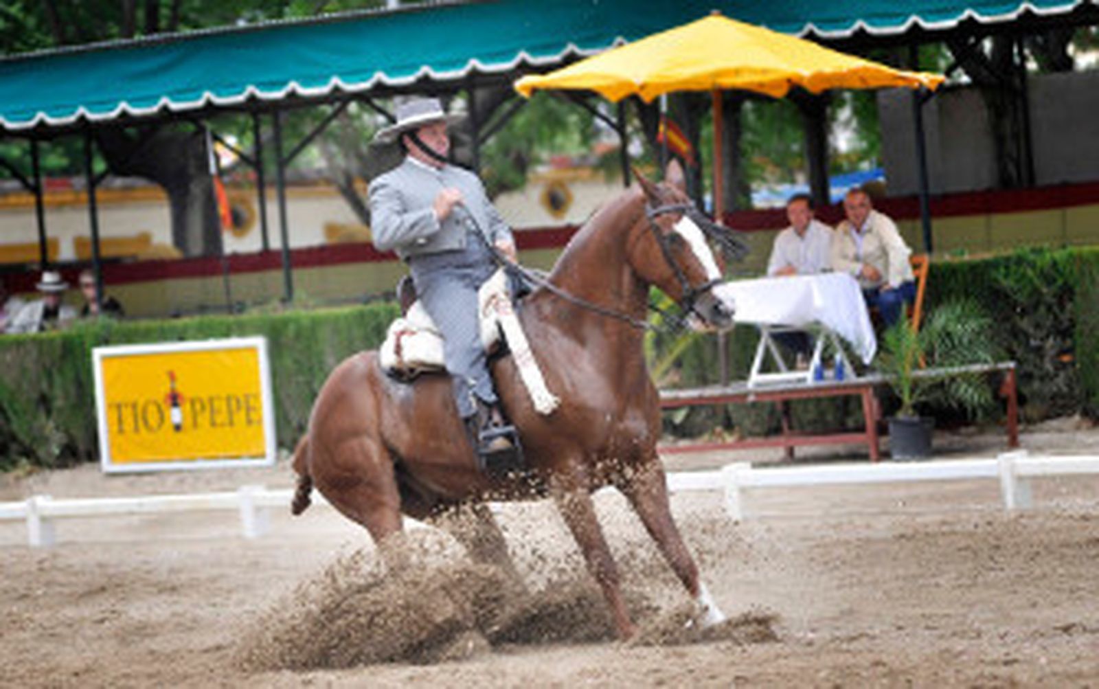 Jerez aprende en Golega a celebrar la capitalidad europea del Caballo