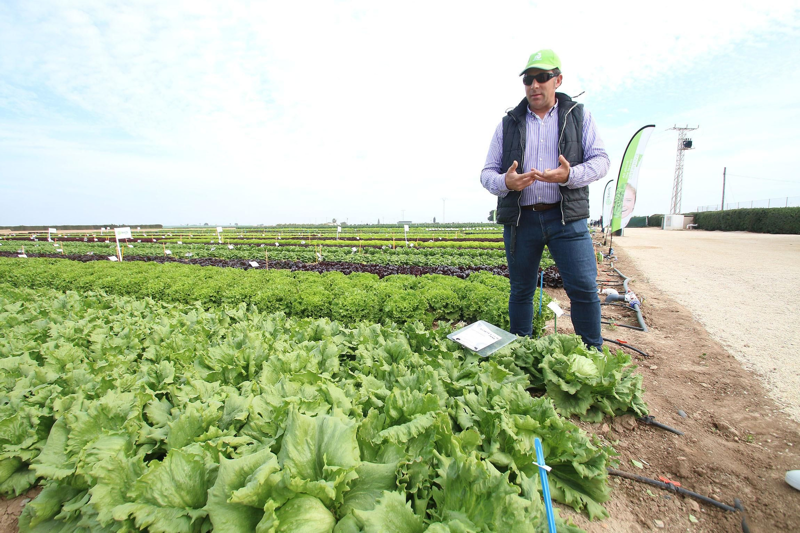 Fotogalería de las jornadas de puertas abiertas de Rijk Zwaan en Cartagena