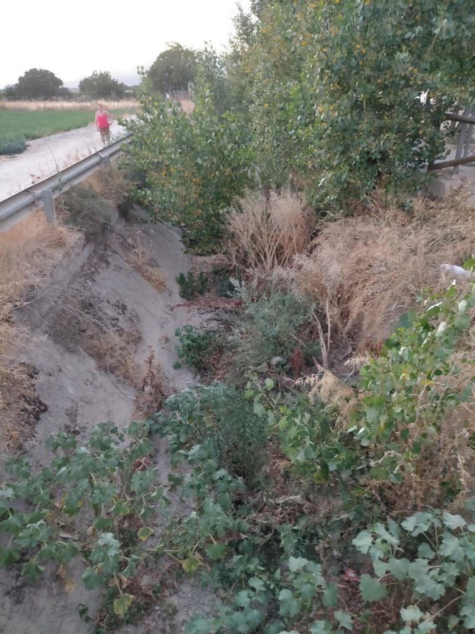 Acequia en Maracena.