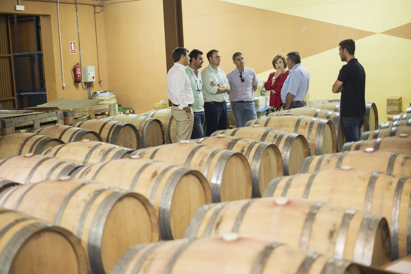 La comitiva institucional visitó las bodegas Jabalcón de Baza.