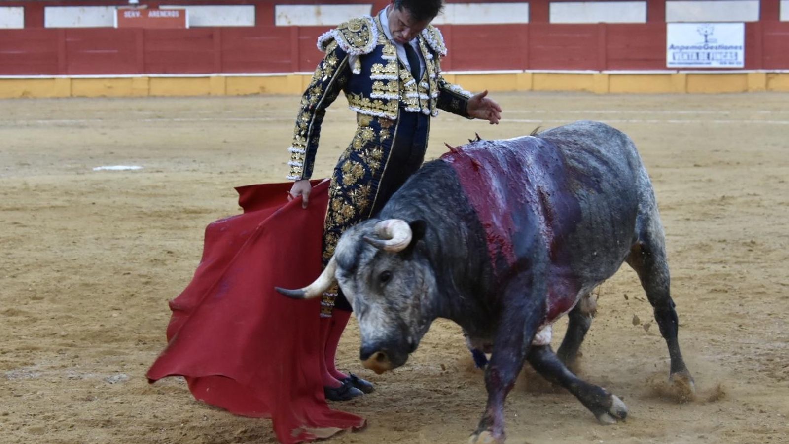 Luque, con uno de los toros de su lote.
