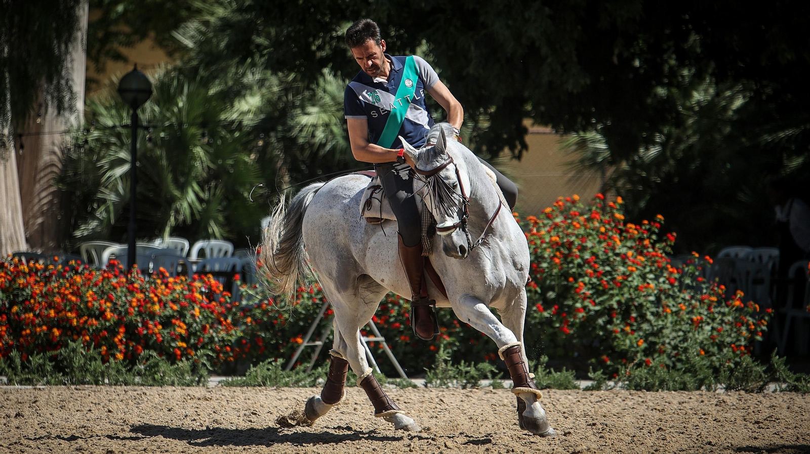 Imágenes de la XVI Copa de S.M. el Rey de Doma Vaquera