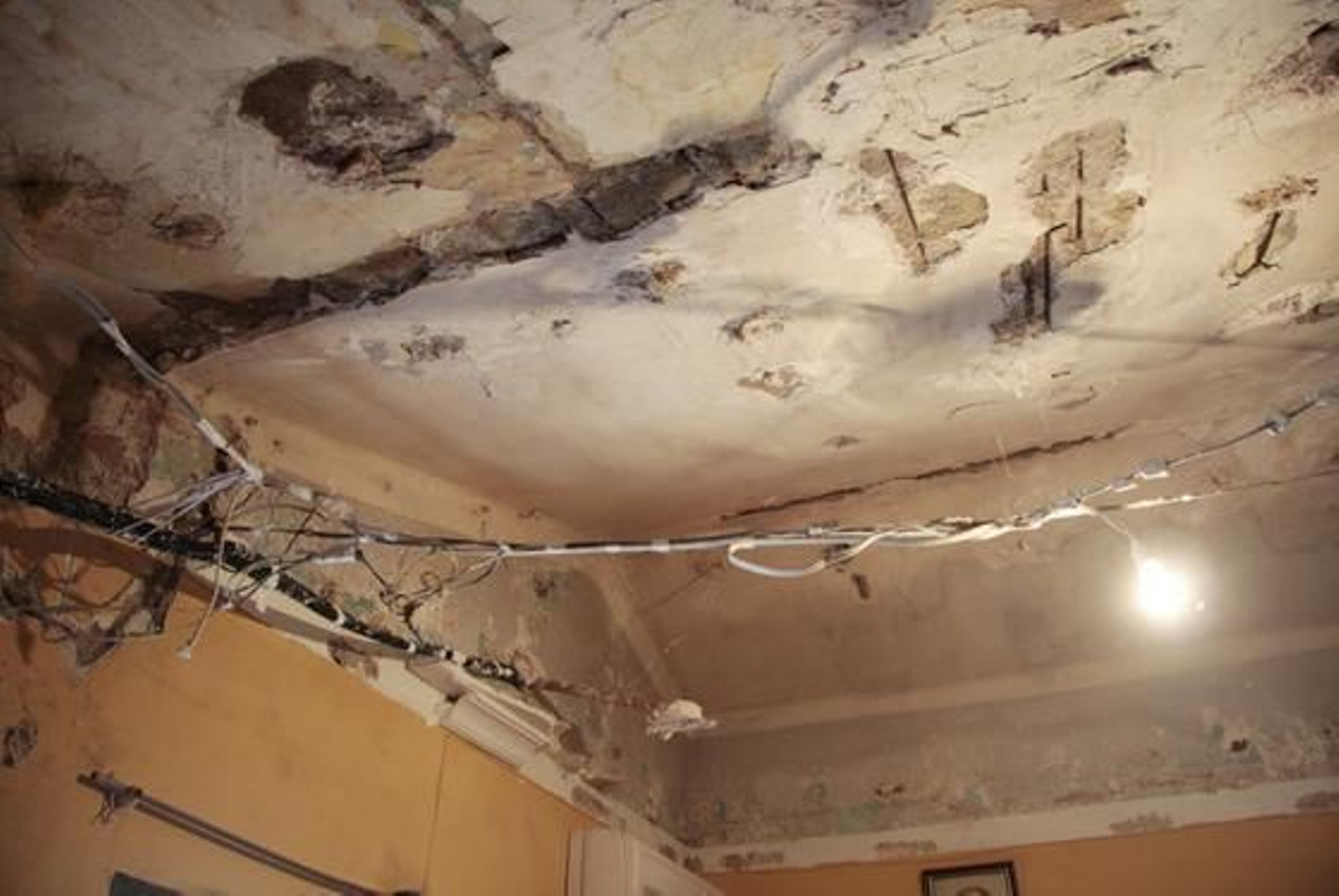 Foto: Victoria Hidalgo