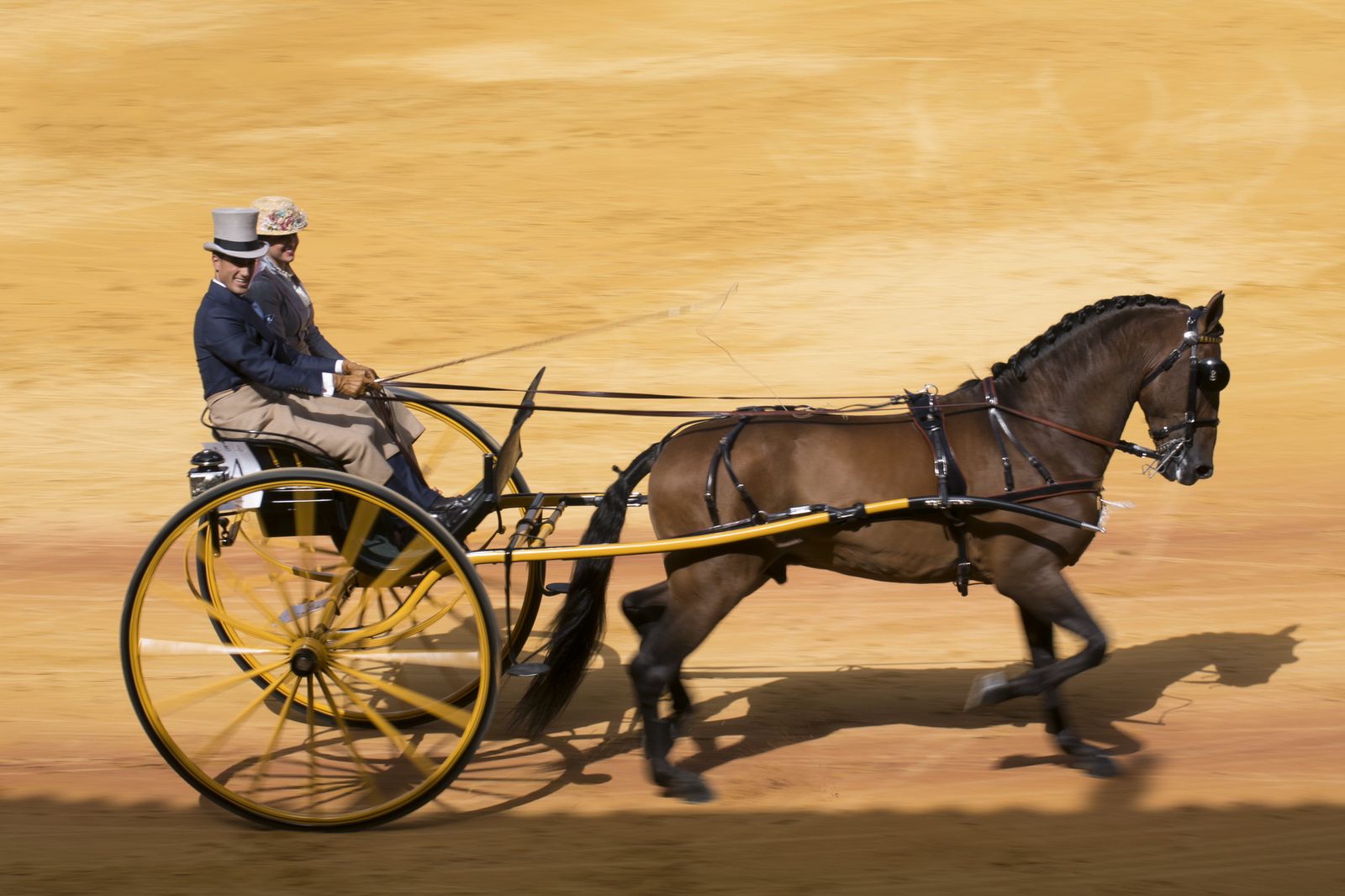Concurso de enganches de la Feria de Ronda el año pasado.