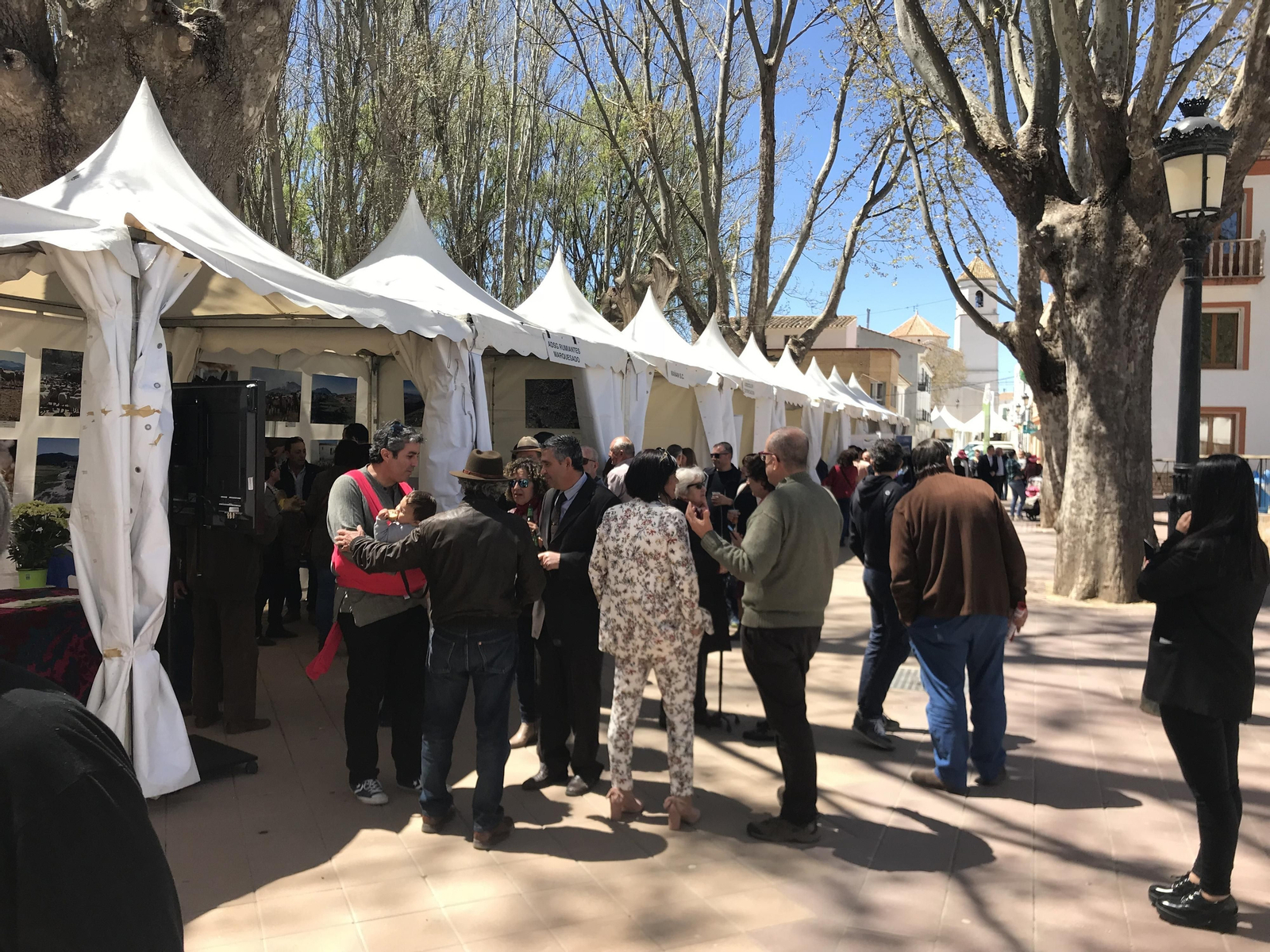 Imágenes de Terracultura 2019, en Chirivel