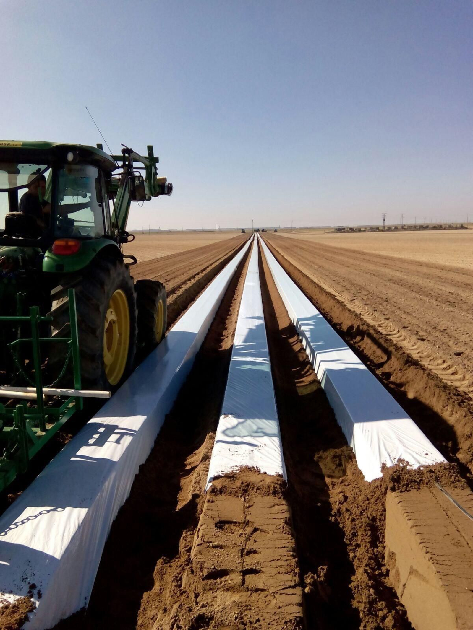 Los trabajos de instalación de las estructuras ya comienzan a verse en la plantación de Ávila.