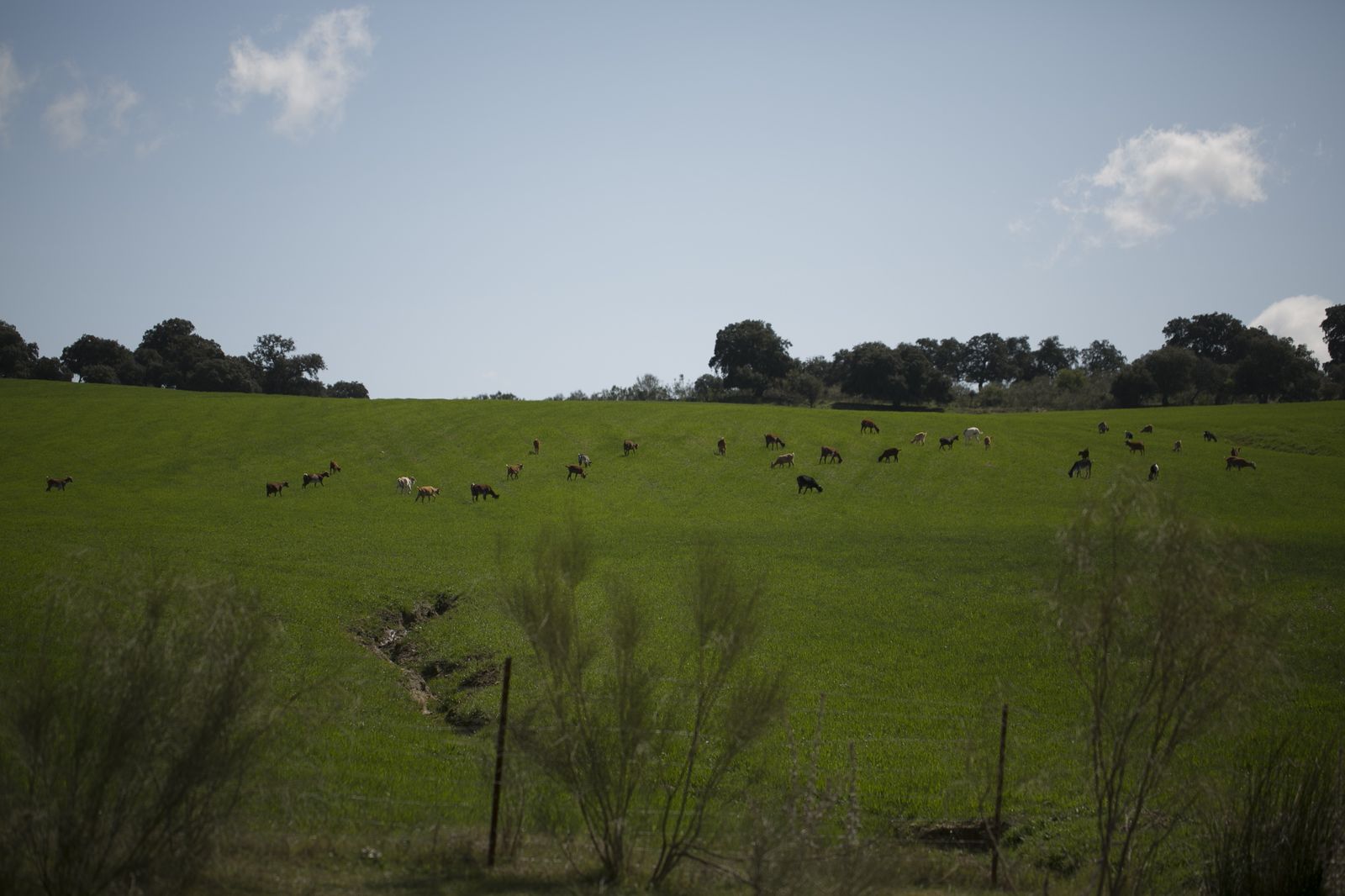 La primavera deja ver su paleta de color