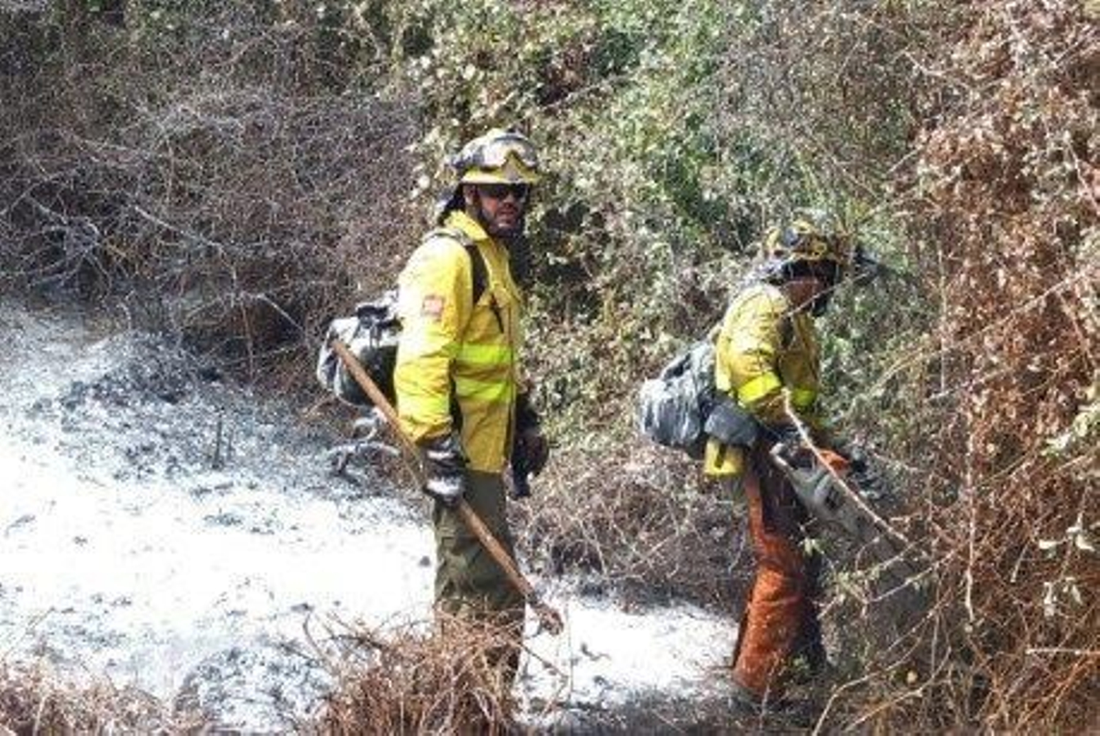 El Plan Infoca trabaja para sofocar el fuego en el incendio forestal declarado en Algeciras.