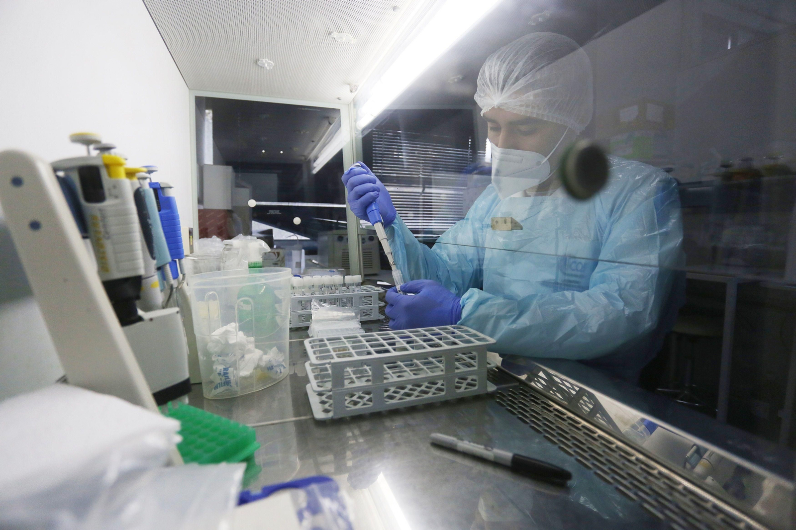 ¿Es posible la erradicación mundial de la Covid- 19?