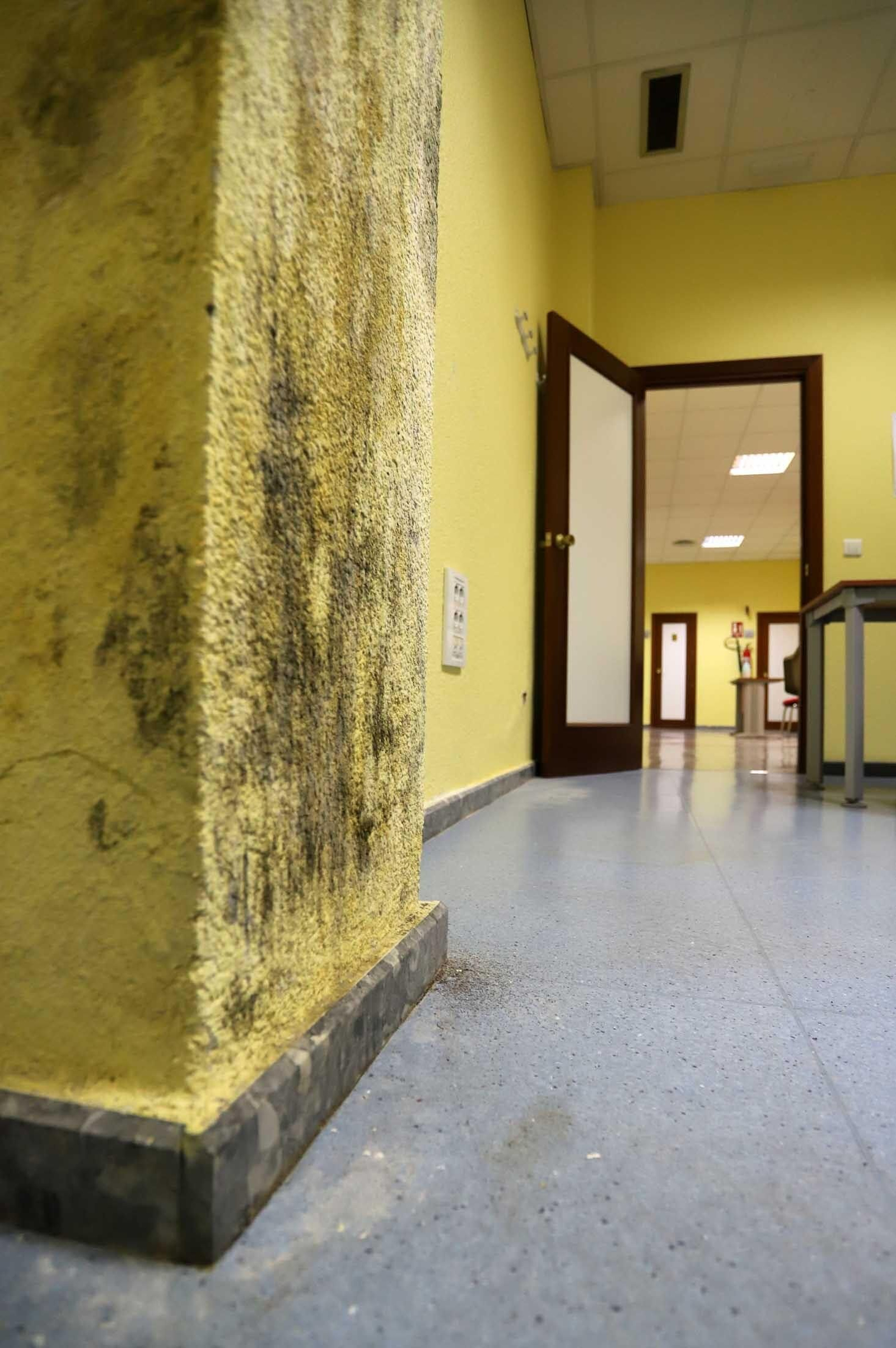 Imágenes del mal estado en el que se encuentra la Unidad de Salud Mental de la Plaza Houston