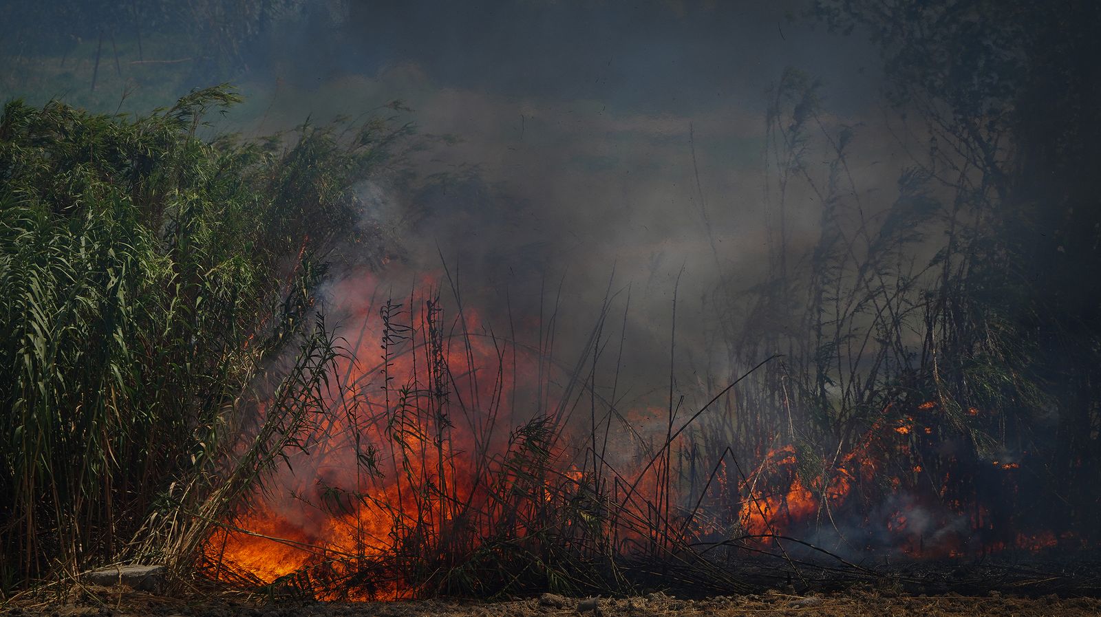 El fuego llega a las  casapuertas en Jerez