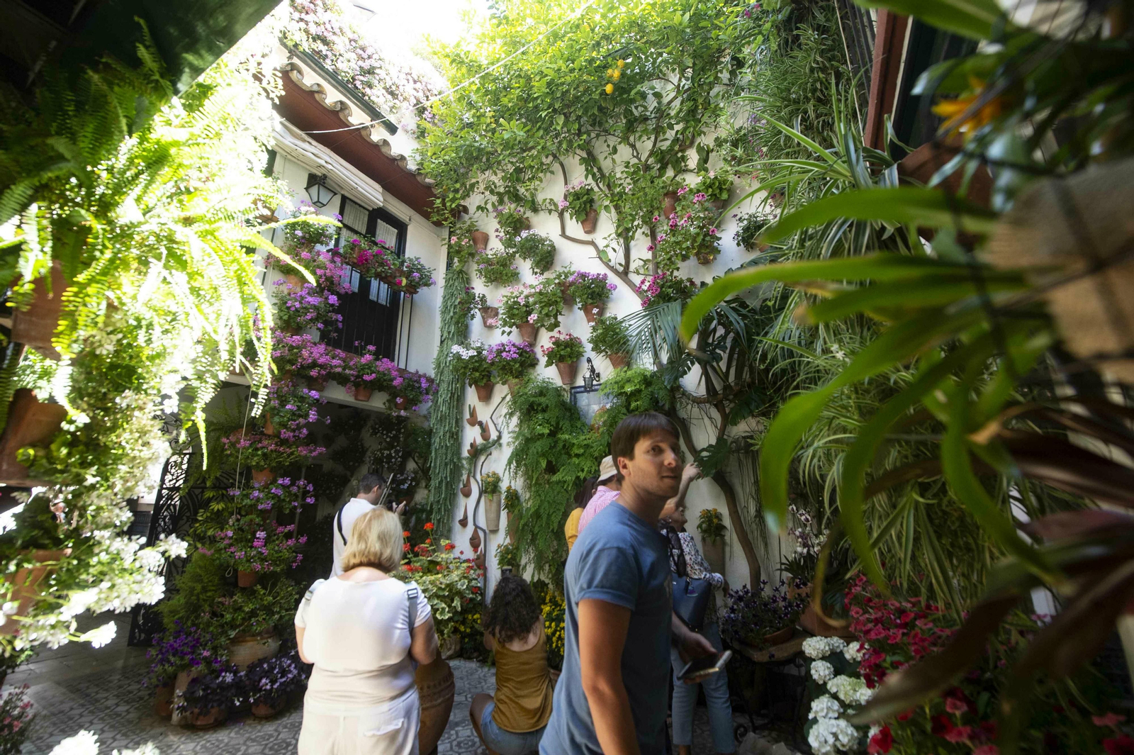 RUTA DE PATIOS JUDERÍA-SAN FRANCISCO