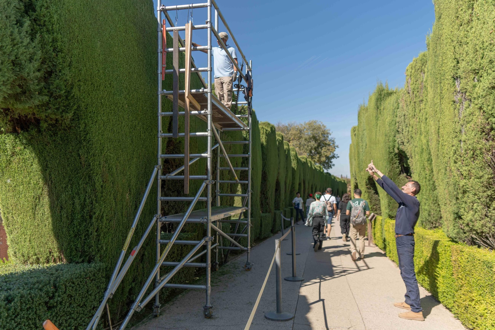 Trabajo de corte de seto de ciprés en la Alhambra.