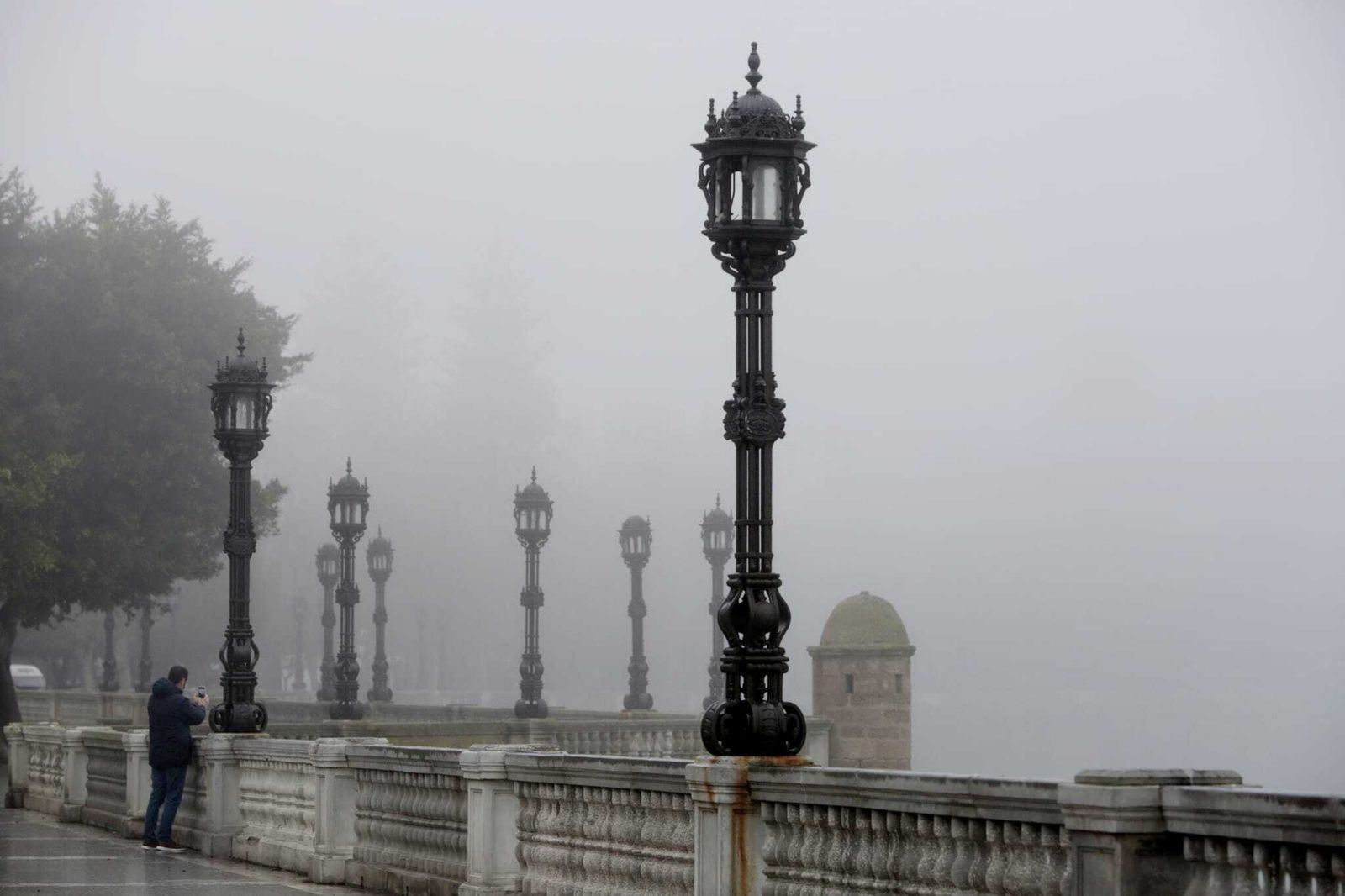 Niebla en la Alameda.