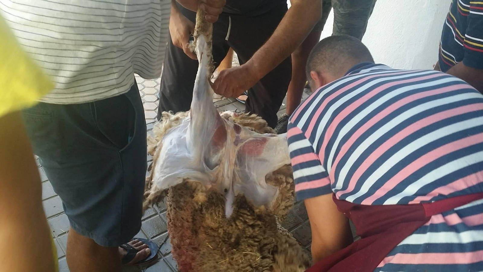 La Algeciras musulmana, de fiesta