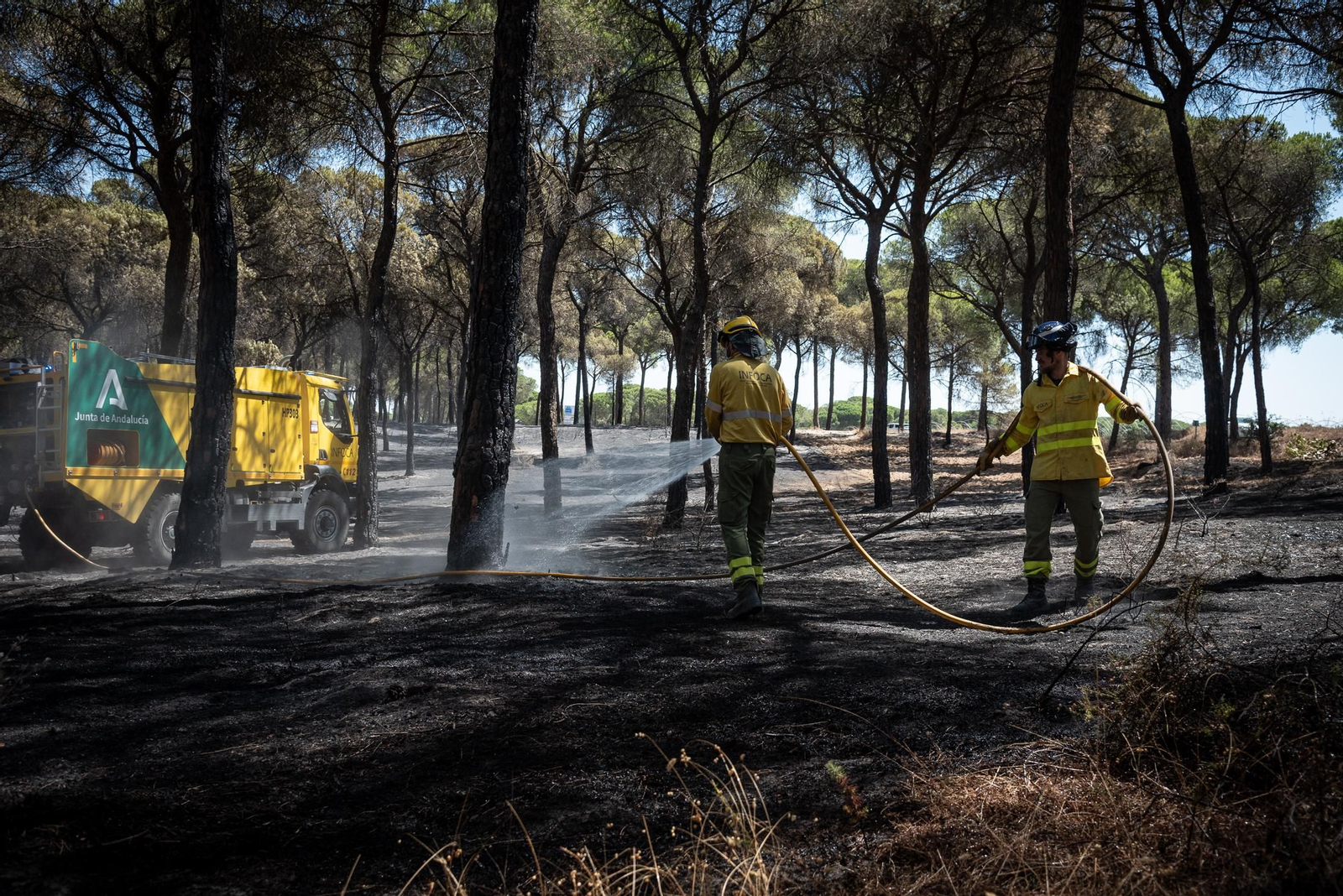 Imágenes de las labores de extinción del incendio de Bonares