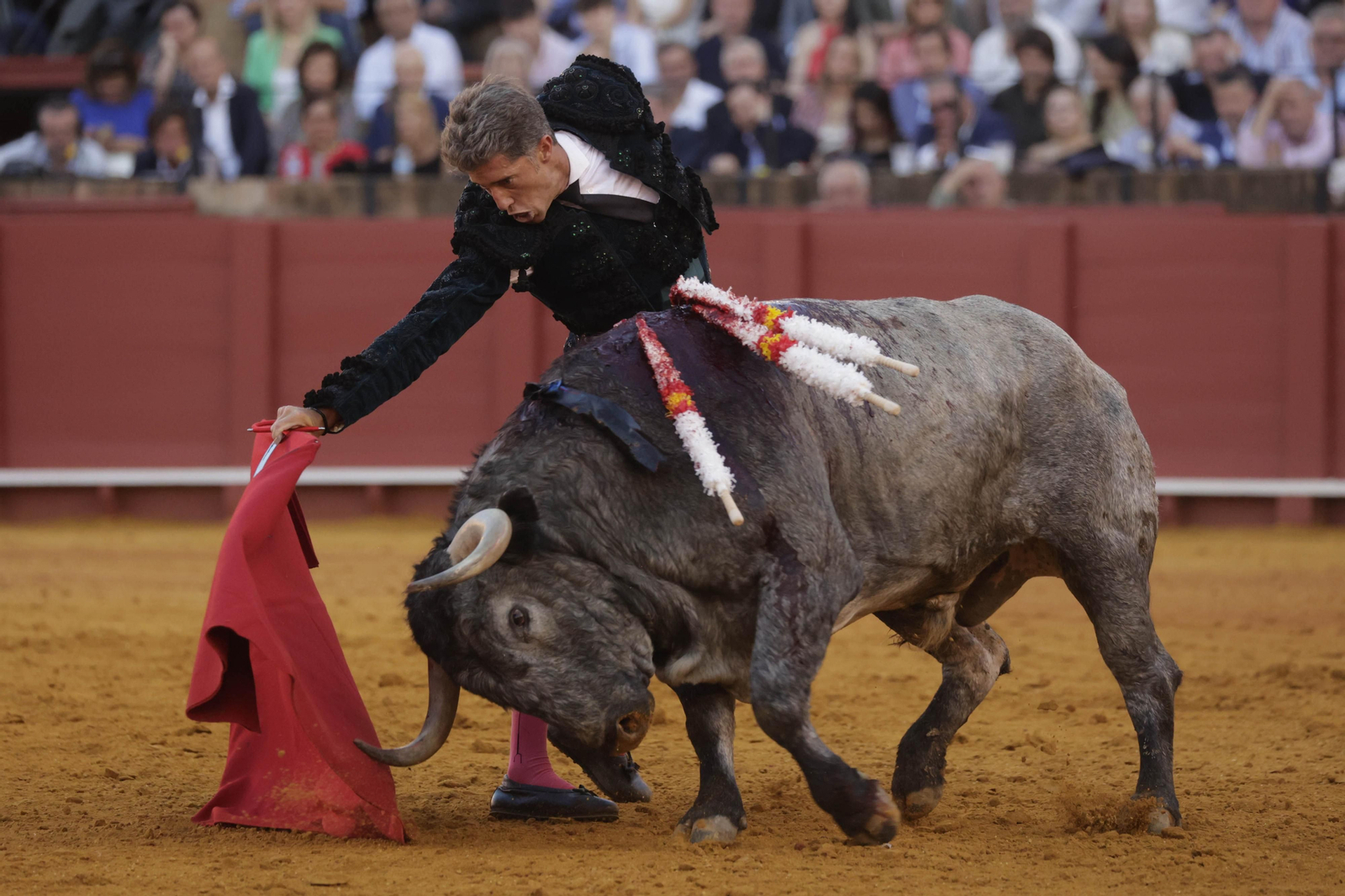 Con el quinto de la tarde, ‘Patatero’ de nombre, pareció que Manuel Escribano se reencontraba con aquel ‘Cobradiezmos’ que indultó y que lanzó al de Gerena. Dos orejas fueron el merecido premio.
