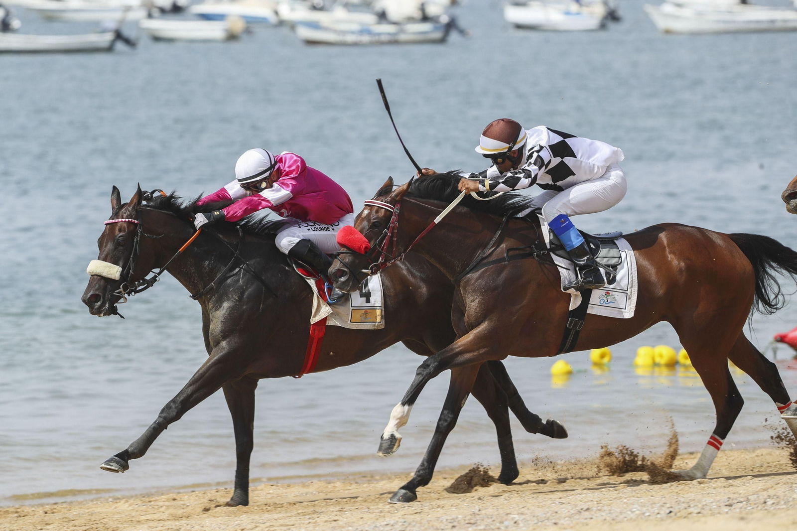 Los mejores momentos del inicio del segundo ciclo de las Carreras de Caballos de Sanlúcar