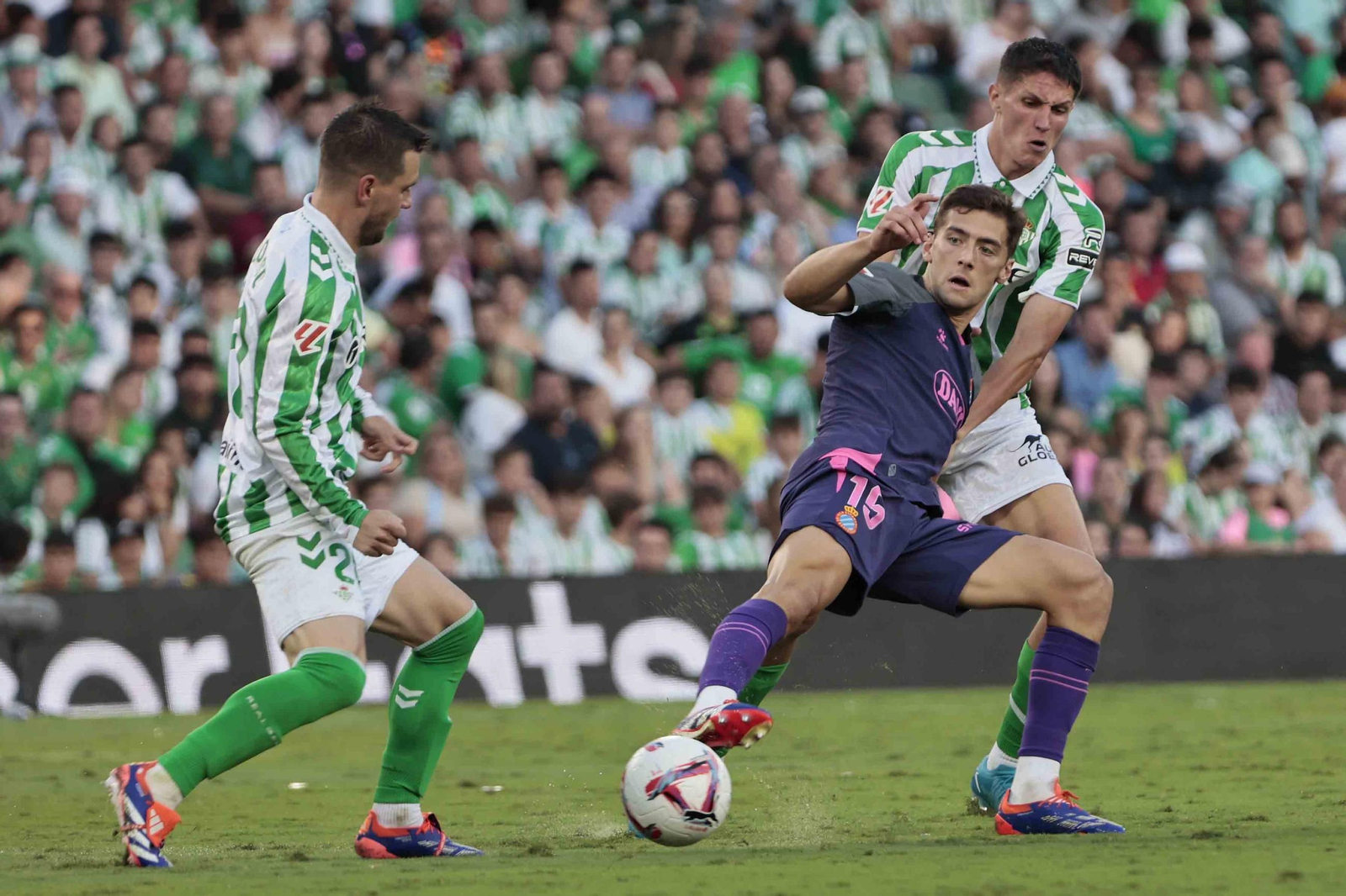 Las mejores fotos del Betis - Espanyol