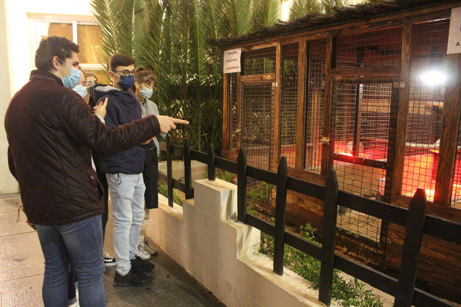 El alumbrado de Navidad de Lucena, en fotografías