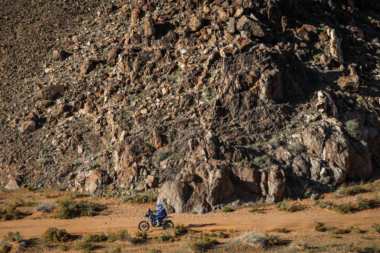 La etapa 9 del Rally Dakar, en fotos