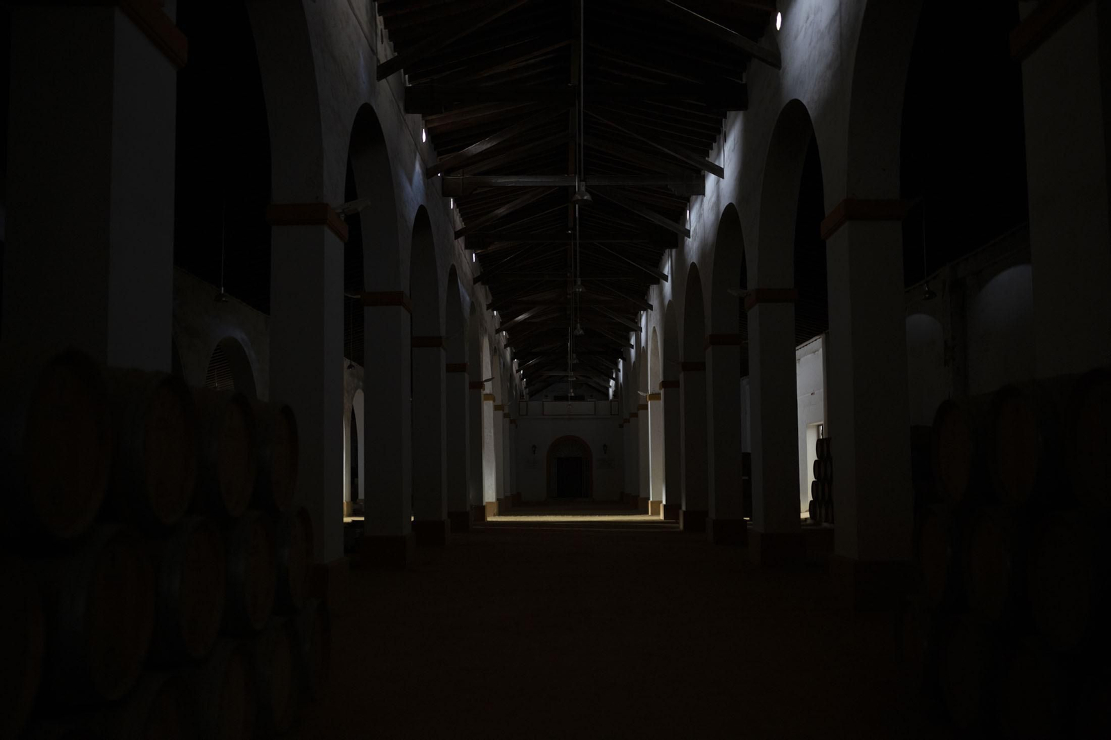 Imágenes de la vendimia en el Condado de Huelva