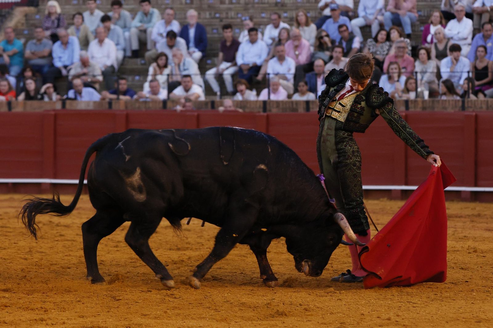 Las imágenes de la Novillada