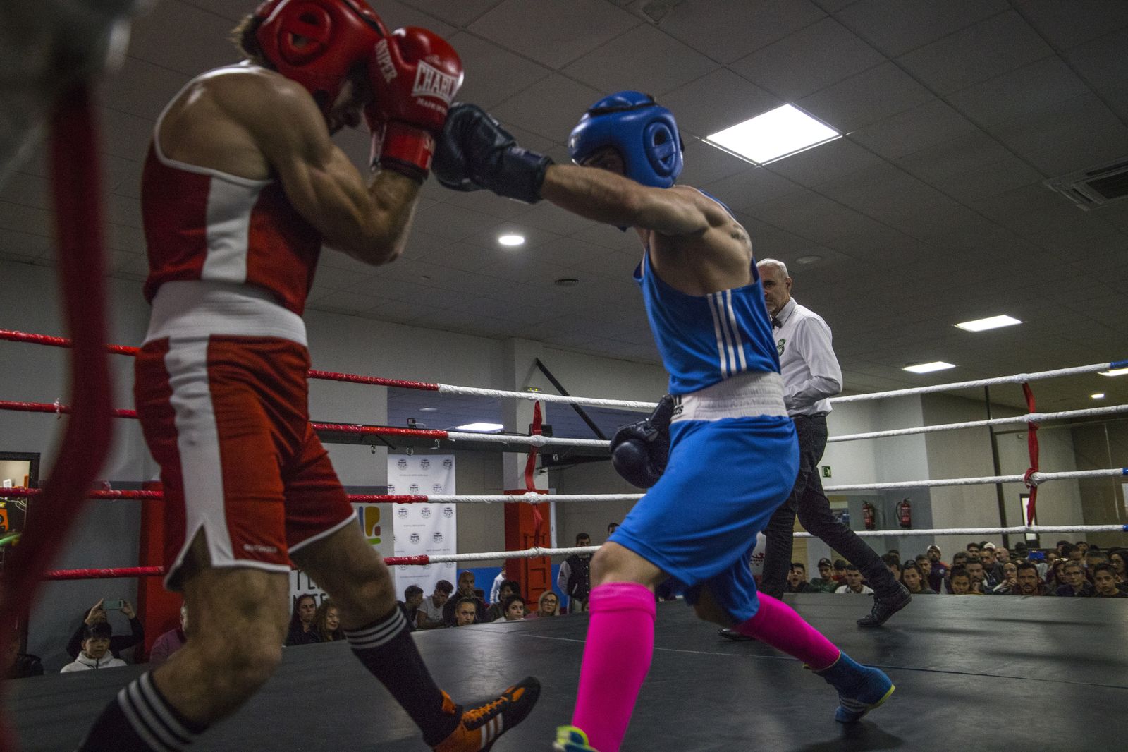 La cantera del boxeo granadino se luce en Armilla