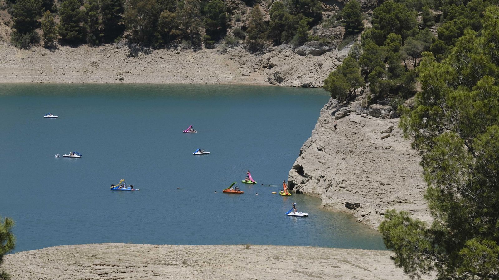 Numerosos hidropedales navegando en el pantano.