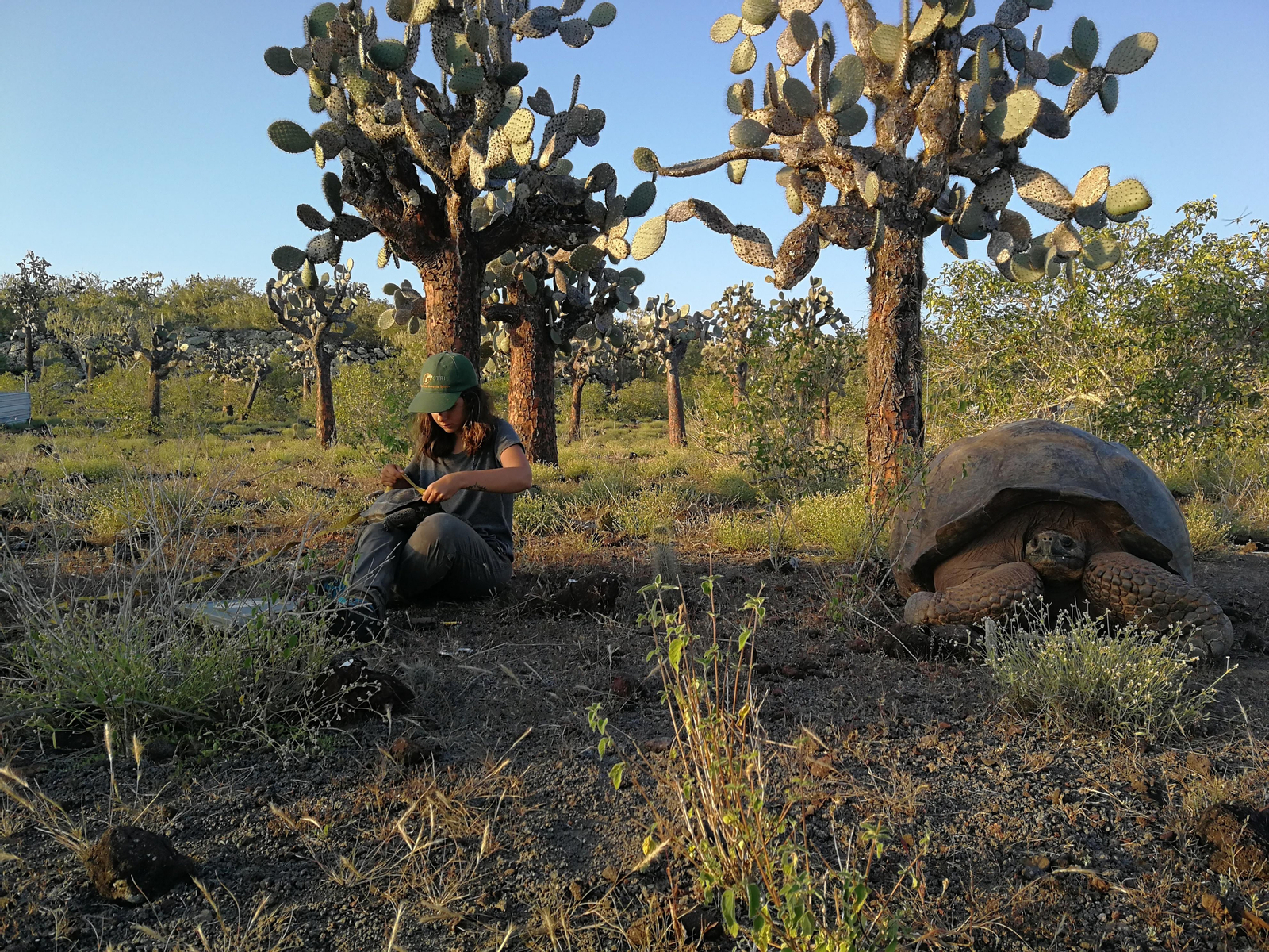 Las fotografías de Bárbara Sellés en una isla desierta para estudiar tortugas Las fotografías de Bárbara Sellés en una isla desierta para estudiar tortugas