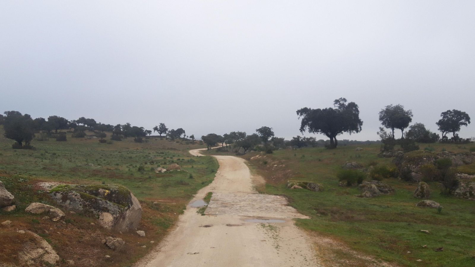 La Vía de la Plata atraviesa el Parque Natural de Cornalvo.