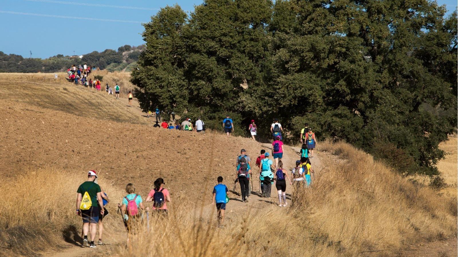 Ruta del Camino Mozárabe de Santiago en Jaén.